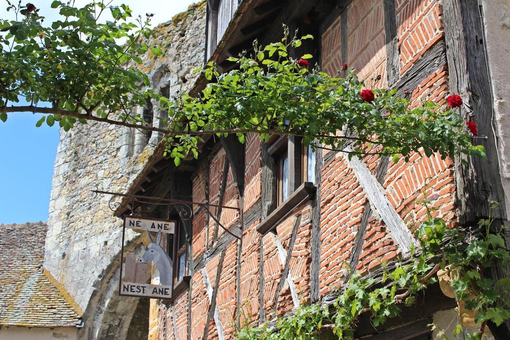 Le Meuble Monestois Villa Mennetou-sur-Cher Exteriör bild
