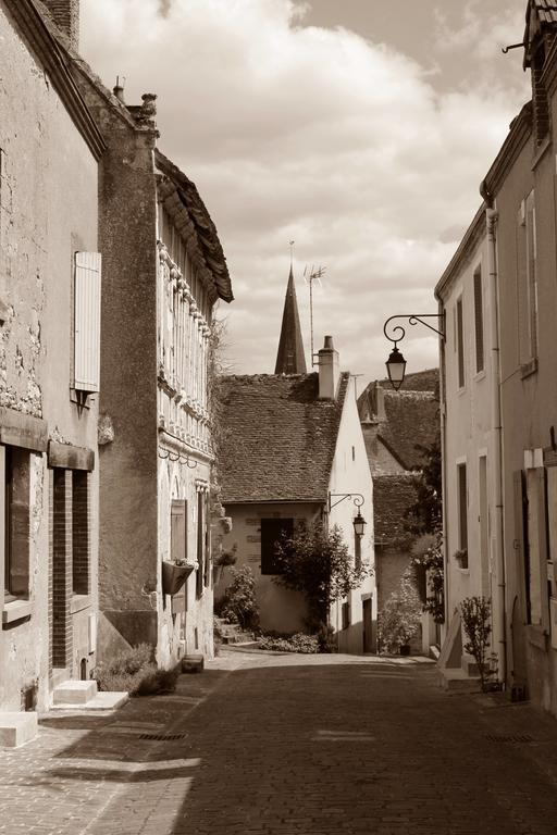Le Meuble Monestois Villa Mennetou-sur-Cher Exteriör bild