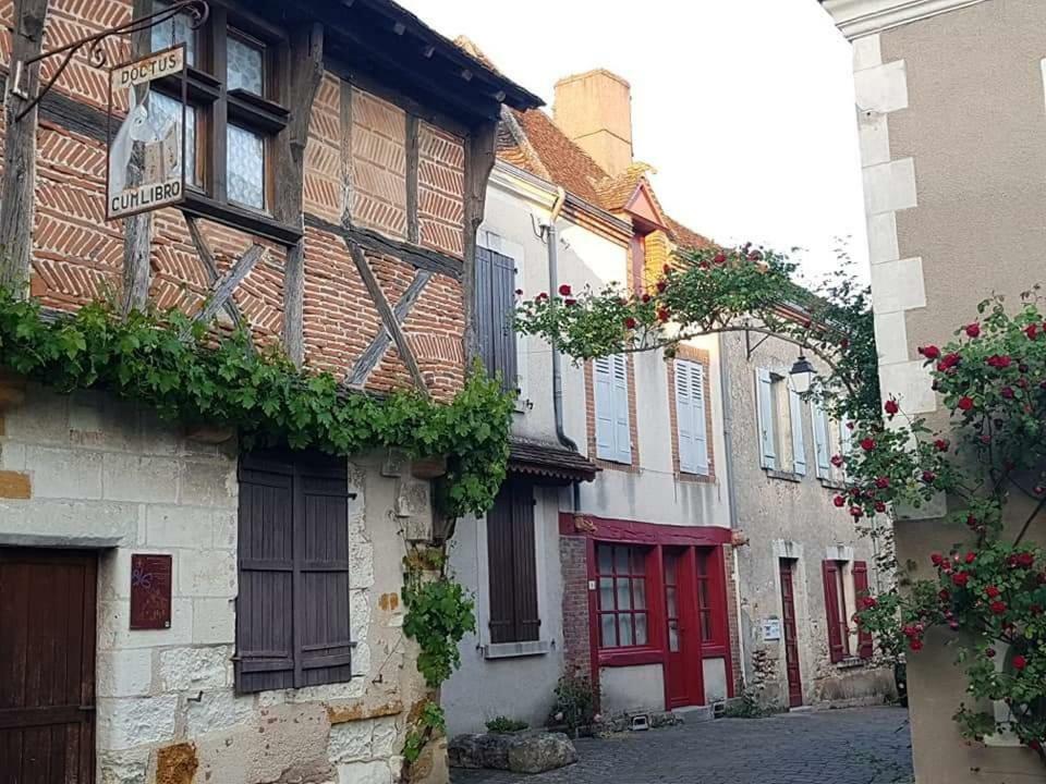 Le Meuble Monestois Villa Mennetou-sur-Cher Exteriör bild